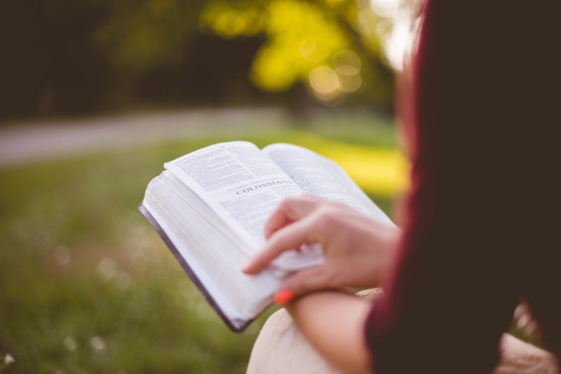 Self-Education
